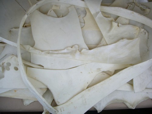Rawhide rohleder diverse - rawhide,